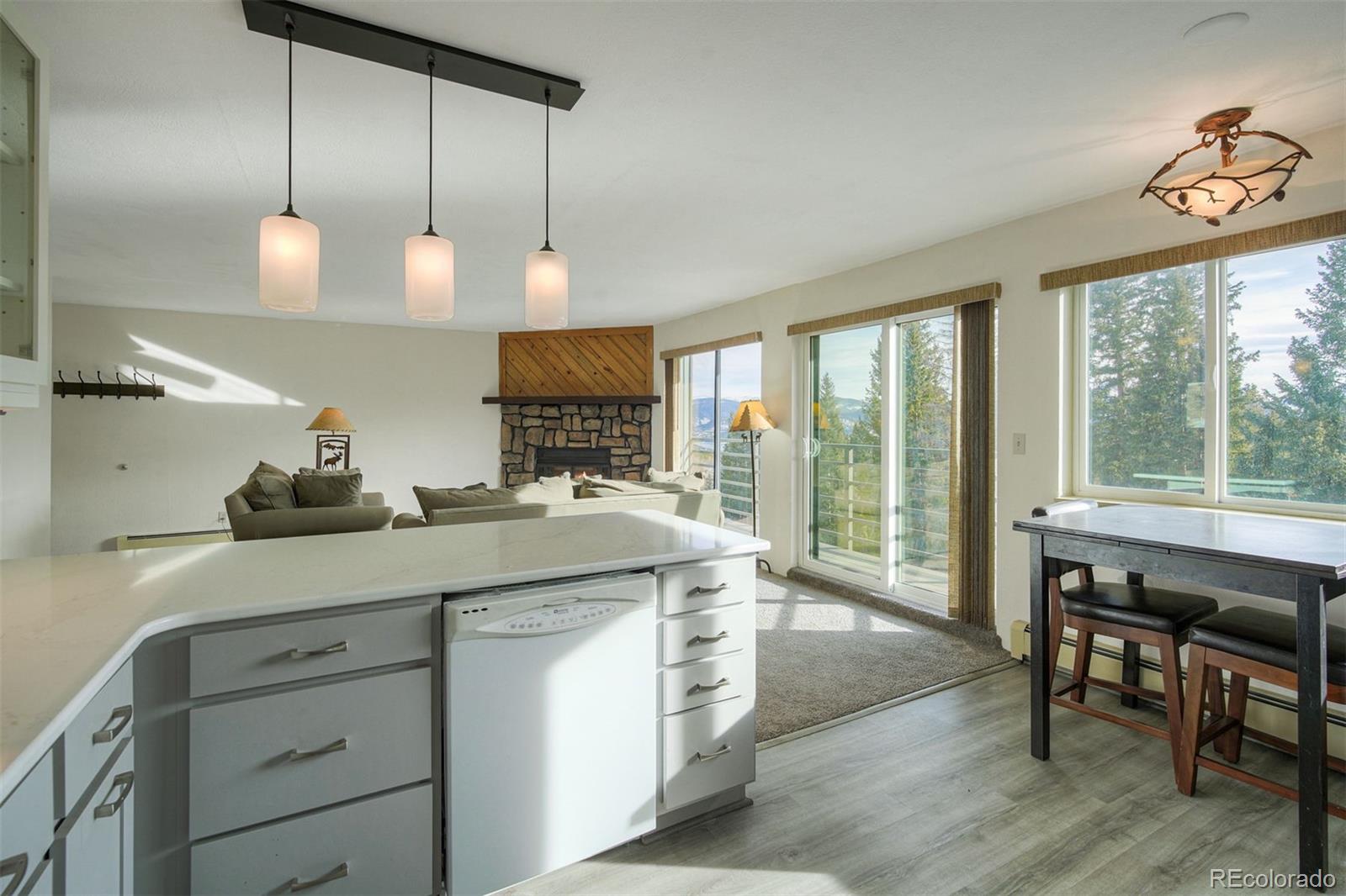9825 Ryan Gulch Road Silverthorne CO 80498