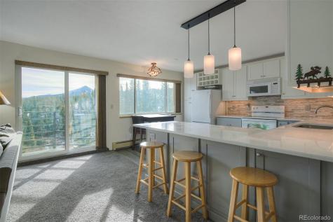 9825 Ryan Gulch Road Silverthorne CO 80498