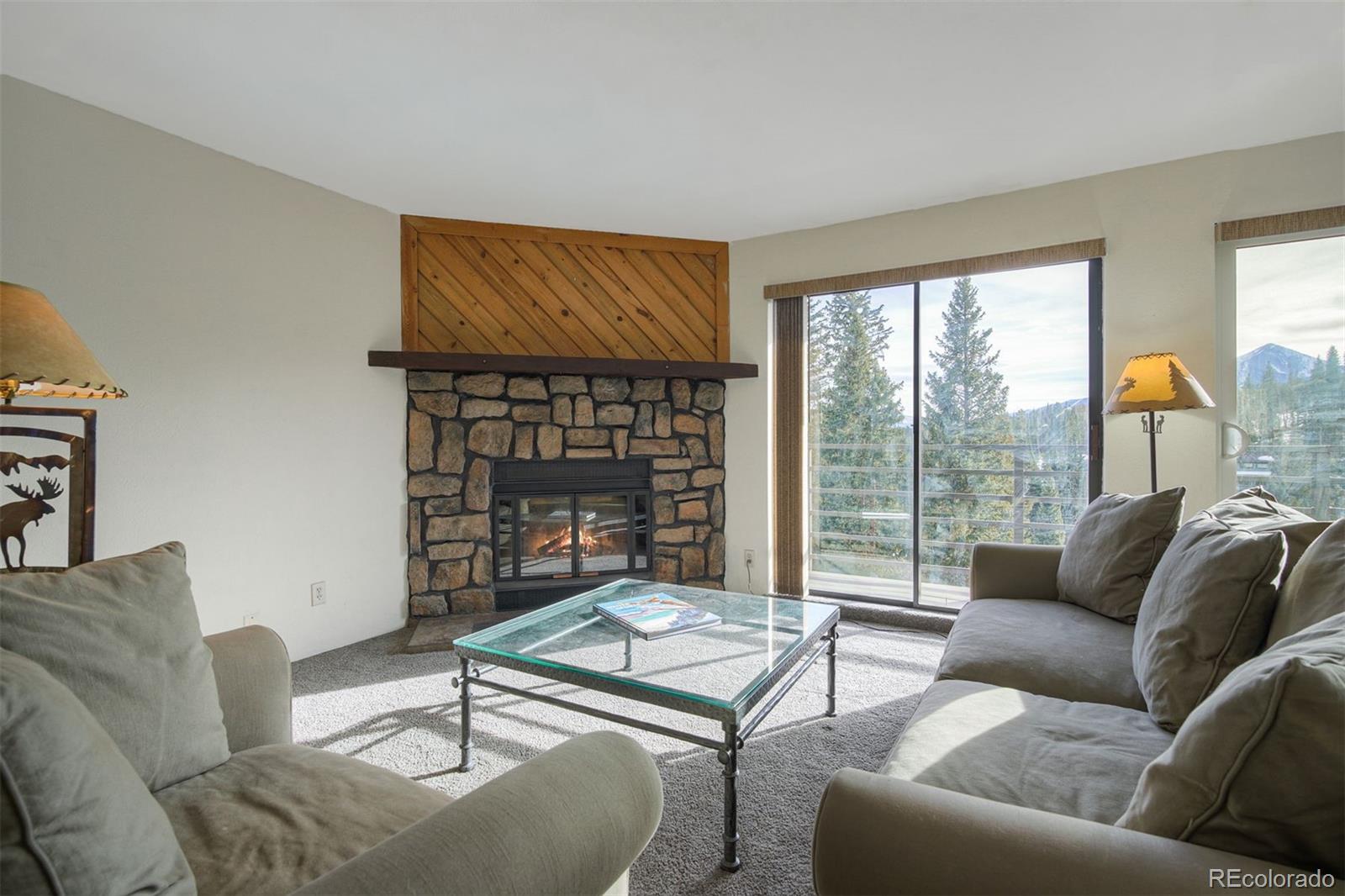 9825 Ryan Gulch Road Silverthorne CO 80498