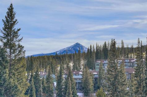 9825 Ryan Gulch Road Silverthorne CO 80498