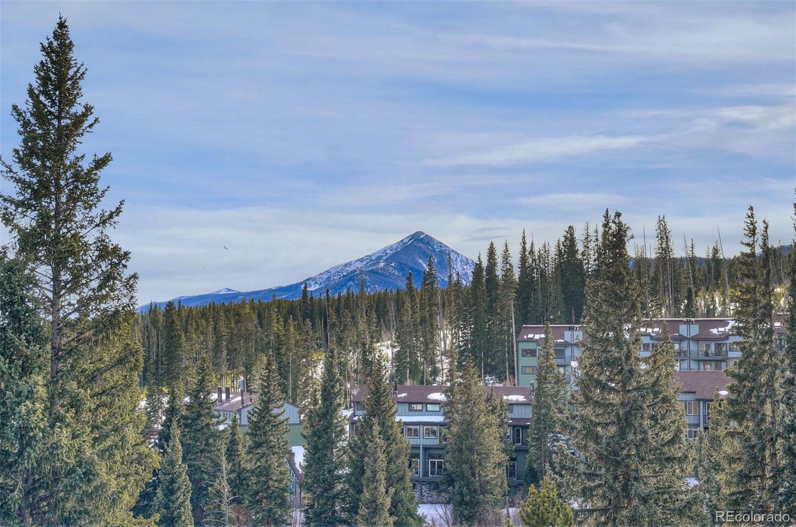 9825 Ryan Gulch Road Silverthorne CO 80498