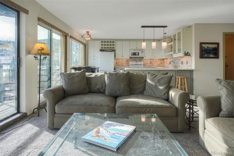 9825 Ryan Gulch Road Silverthorne CO 80498