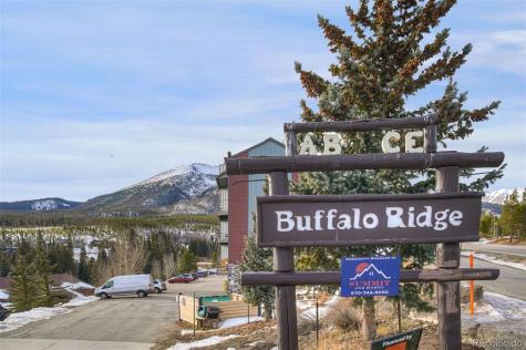 9825 Ryan Gulch Road Silverthorne CO 80498