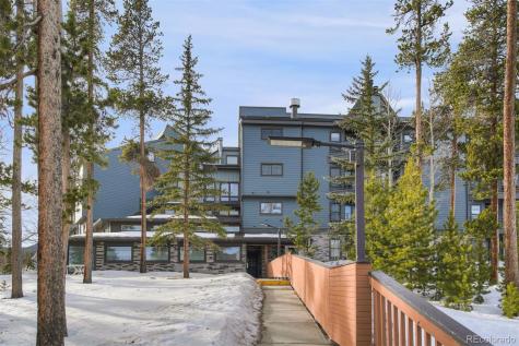 9825 Ryan Gulch Road Silverthorne CO 80498