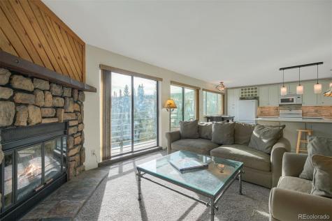 9825 Ryan Gulch Road Silverthorne CO 80498