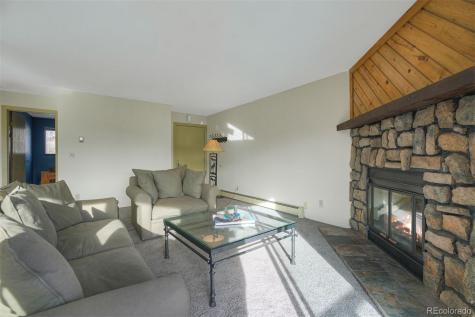 9825 Ryan Gulch Road Silverthorne CO 80498