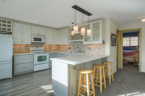 9825 Ryan Gulch Road Silverthorne CO 80498