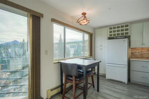 9825 Ryan Gulch Road Silverthorne CO 80498