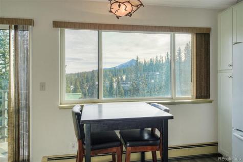 9825 Ryan Gulch Road Silverthorne CO 80498