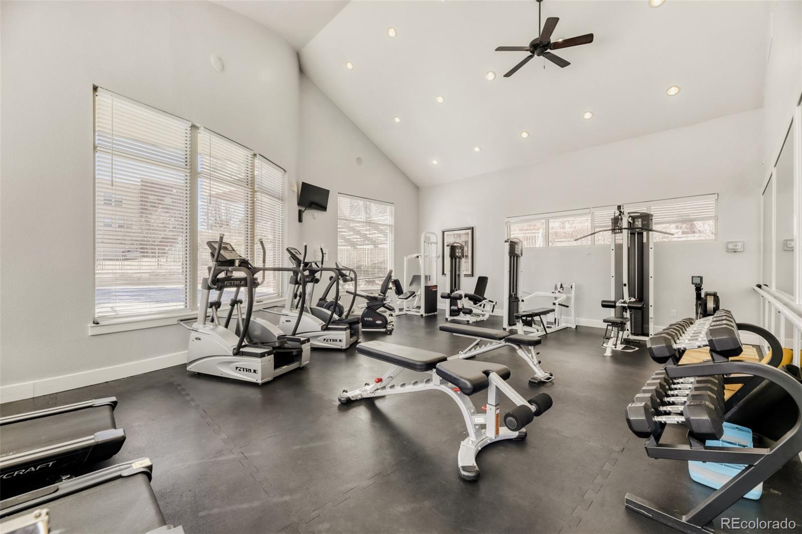 7856 W 54th Avenue Arvada CO 80002