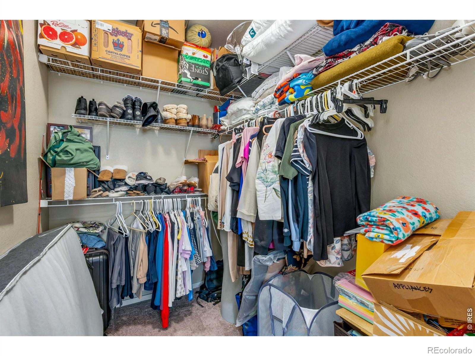 2940 Kincaid Drive Loveland CO 80538