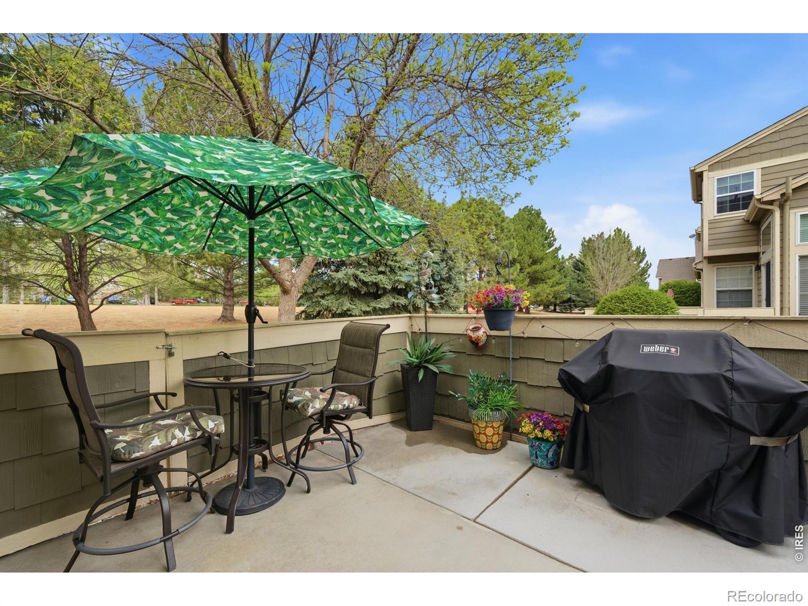 6633 Antigua Drive Fort Collins CO 80525