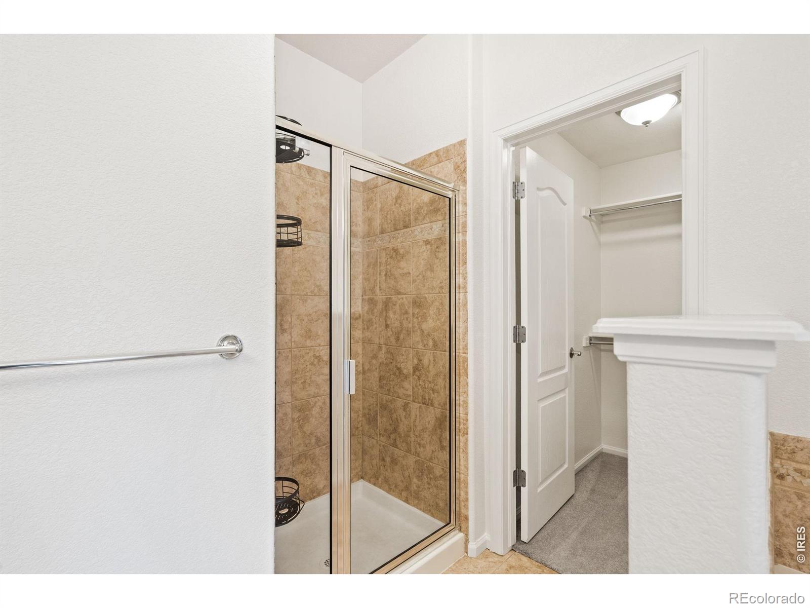 3827 Steelhead Street Fort Collins CO 80528
