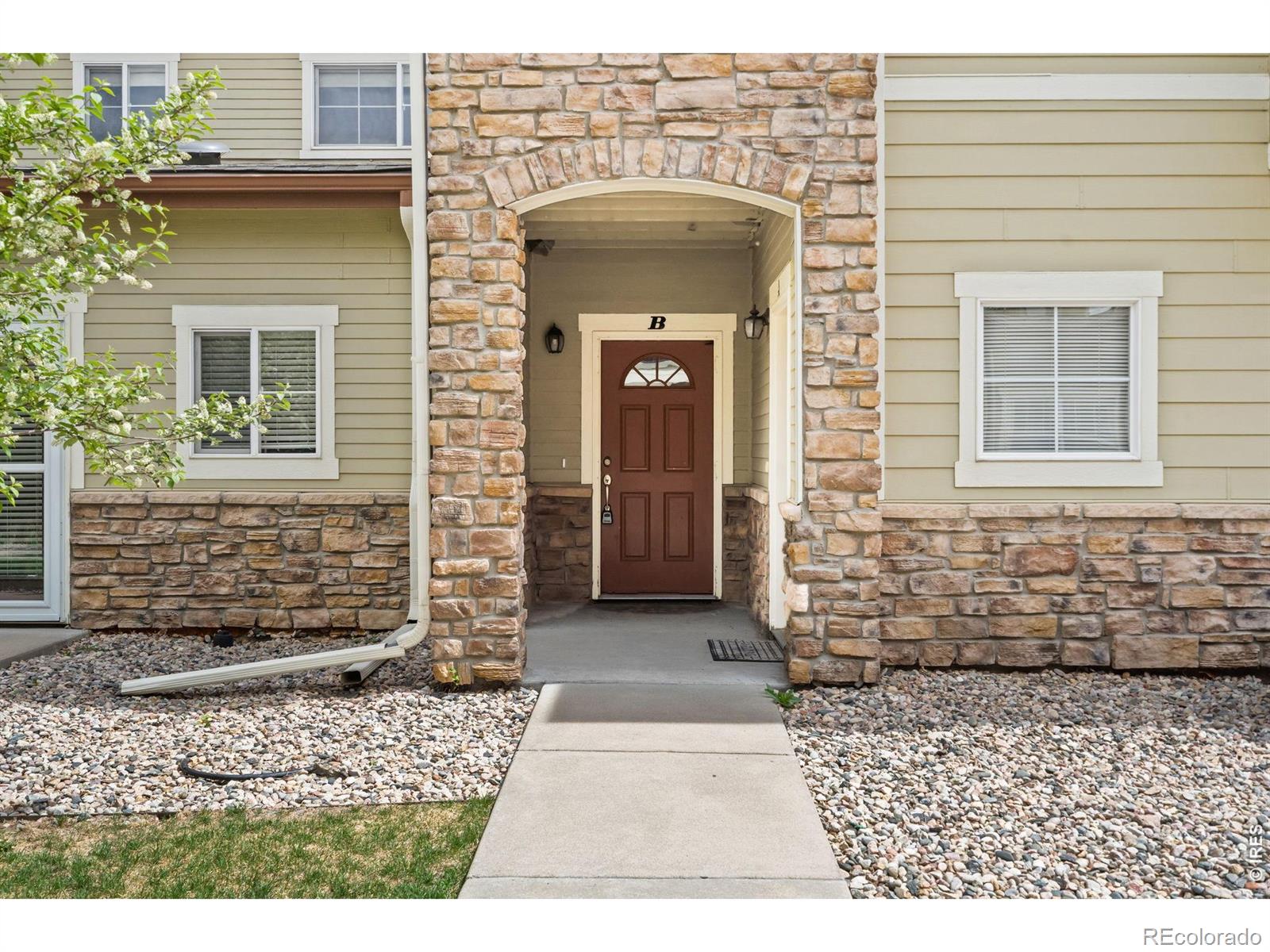 3827 Steelhead Street Fort Collins CO 80528