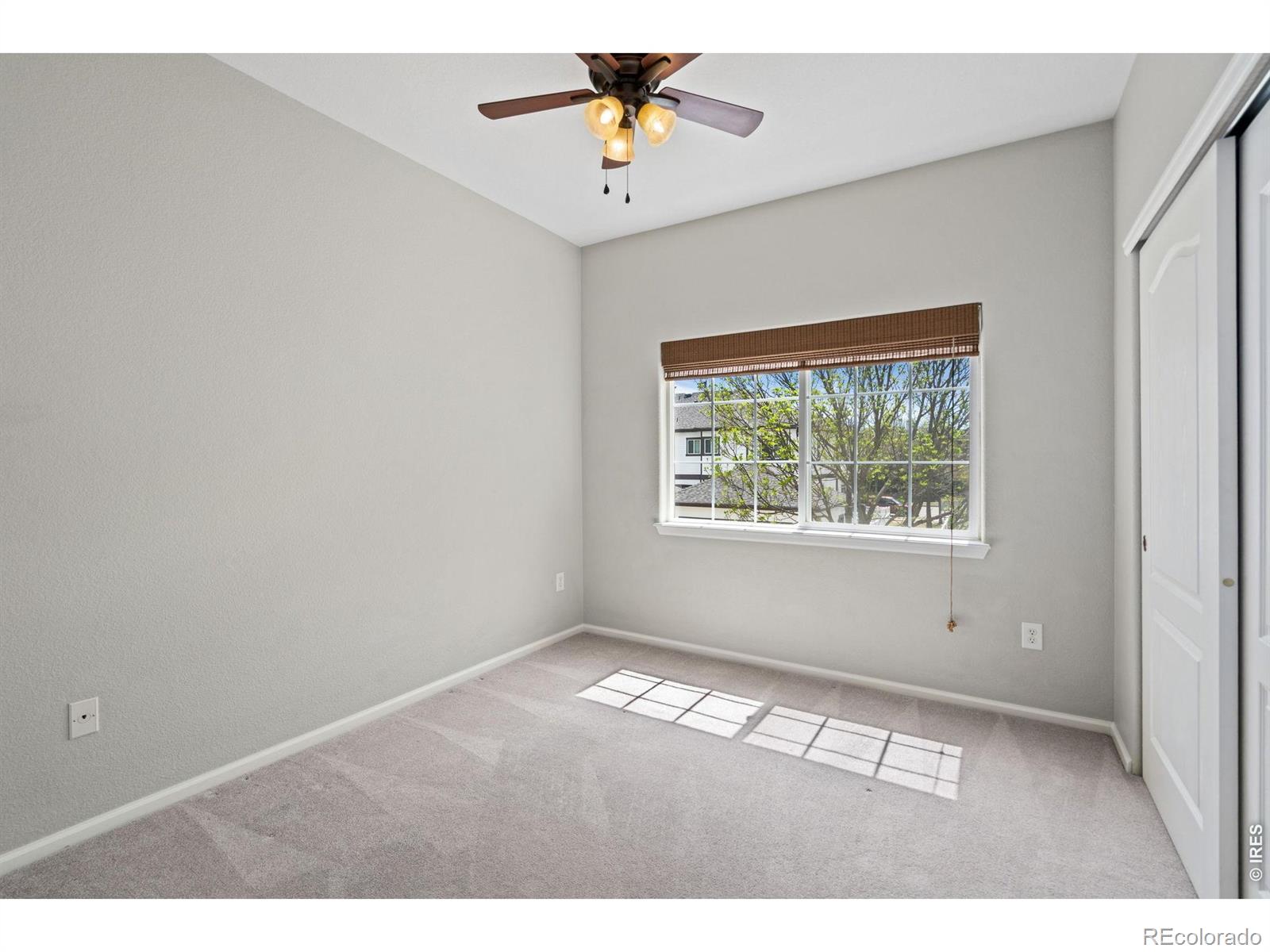 3827 Steelhead Street Fort Collins CO 80528