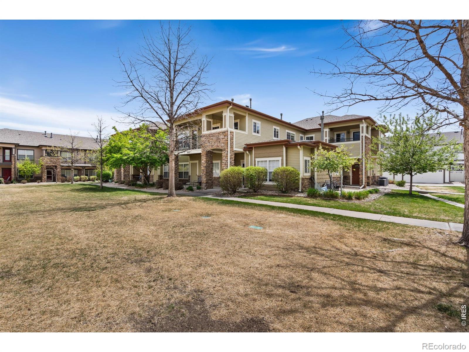 3827 Steelhead Street Fort Collins CO 80528