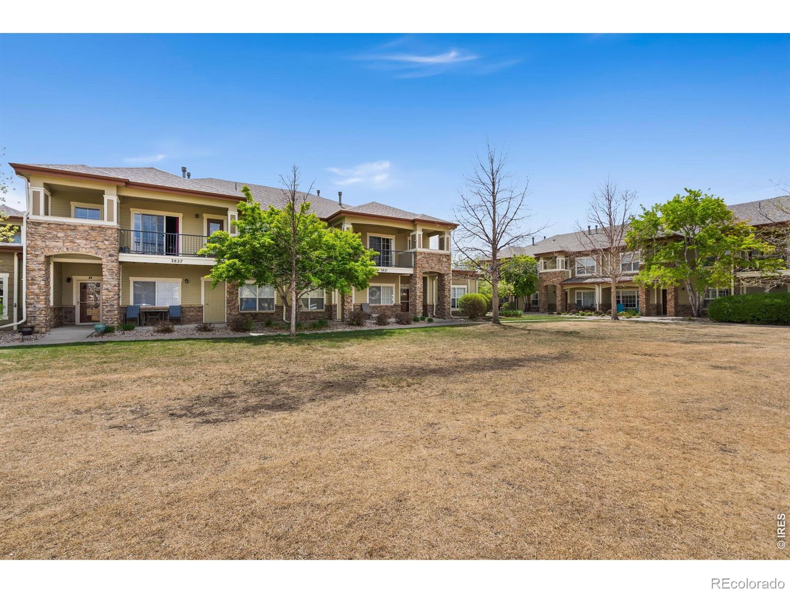 3827 Steelhead Street Fort Collins CO 80528