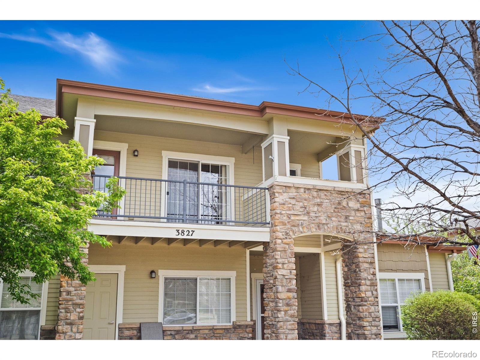 3827 Steelhead Street Fort Collins CO 80528