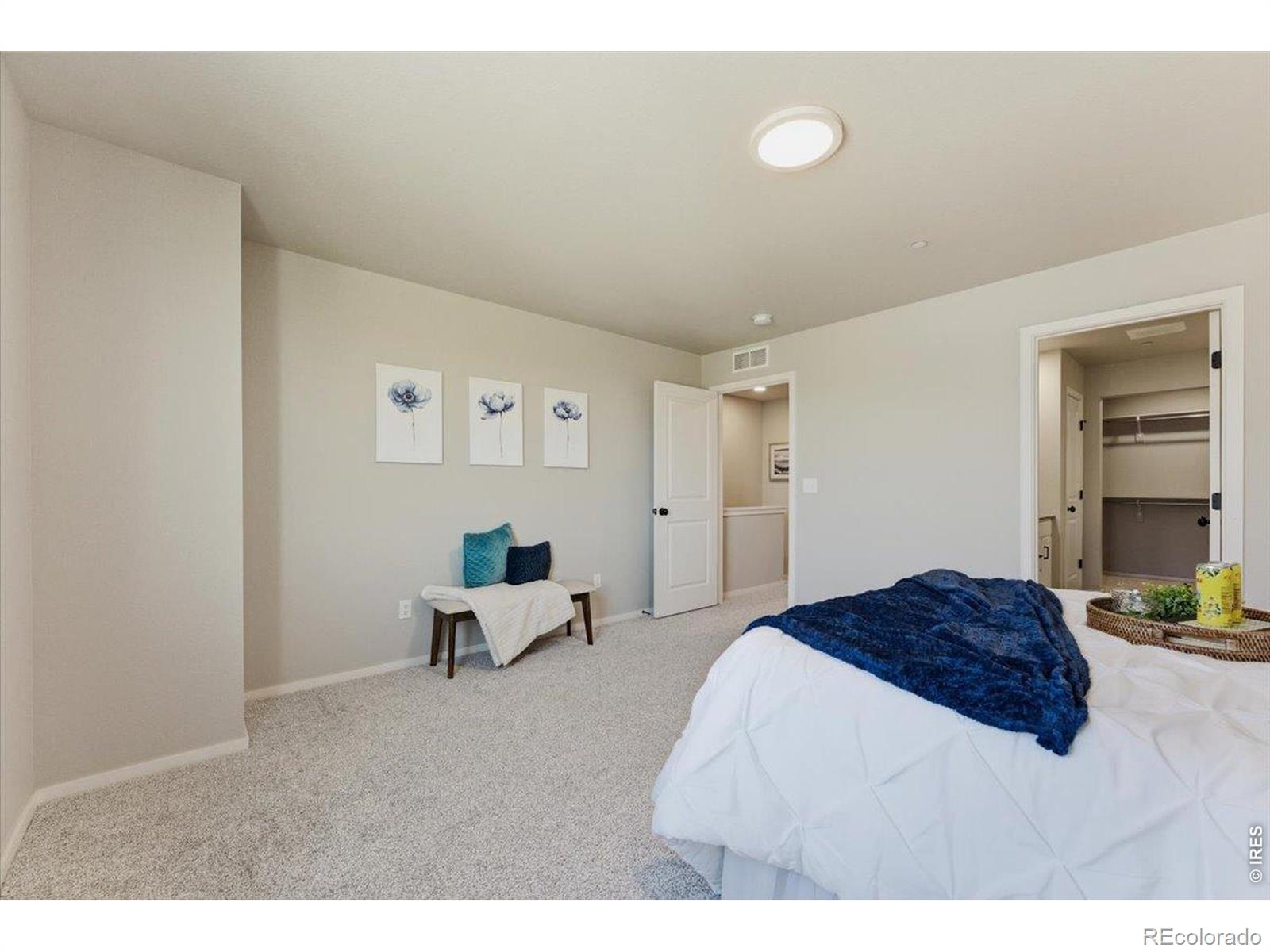 2726 Barnstormer Street Fort Collins CO 80524