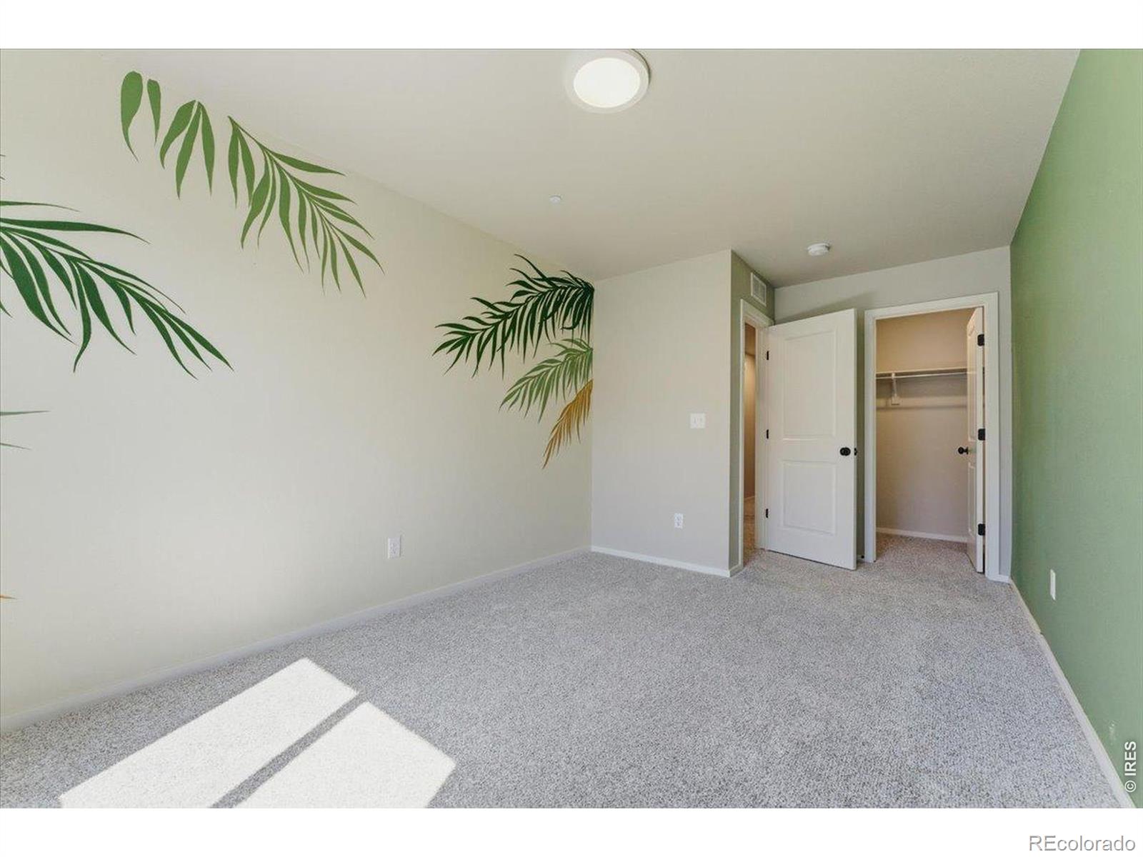 2726 Barnstormer Street Fort Collins CO 80524