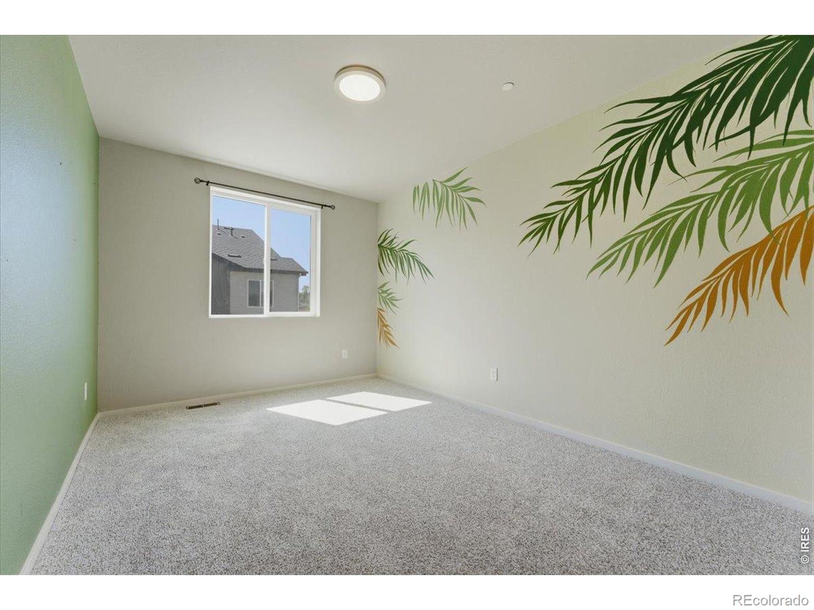 2726 Barnstormer Street Fort Collins CO 80524
