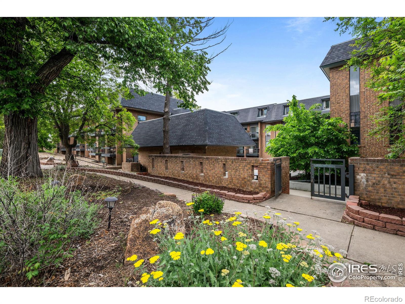 1065 University Avenue Boulder CO 80302