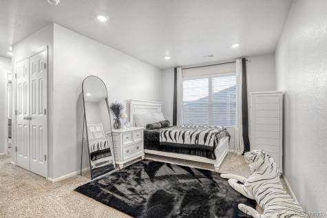 12237 Creamery Street Thornton CO 80241