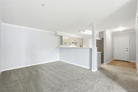 5667 S Urban Street Littleton CO 80127