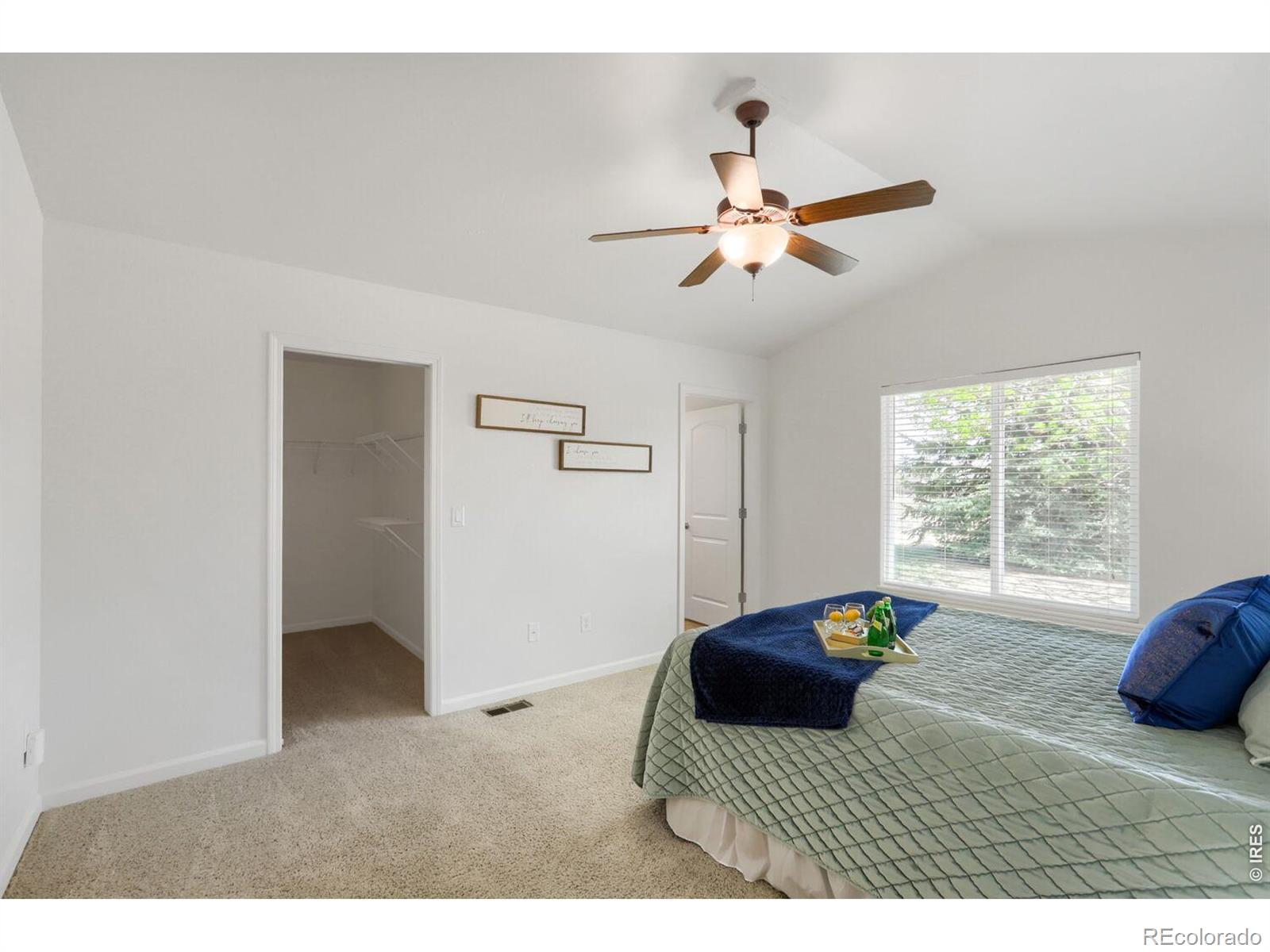 8498 Pebble Court Wellington CO 80549