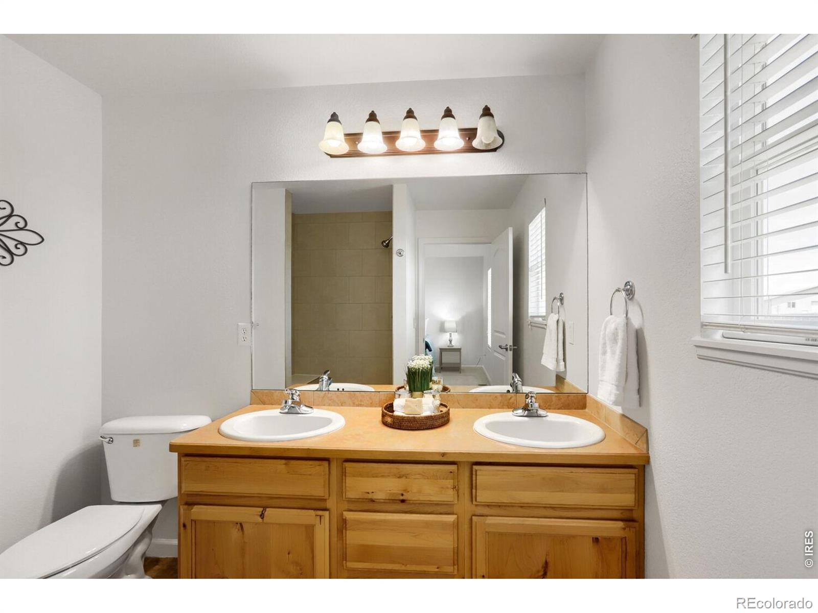 8498 Pebble Court Wellington CO 80549