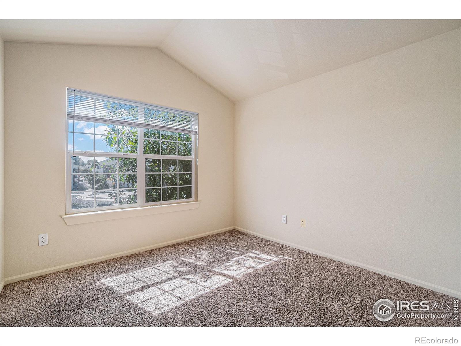 2990 W C Street Greeley CO 80631