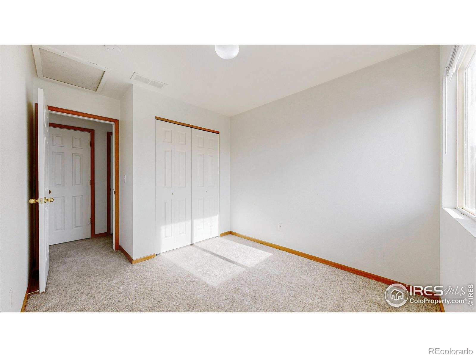 3380 Saratoga Street Wellington CO 80549