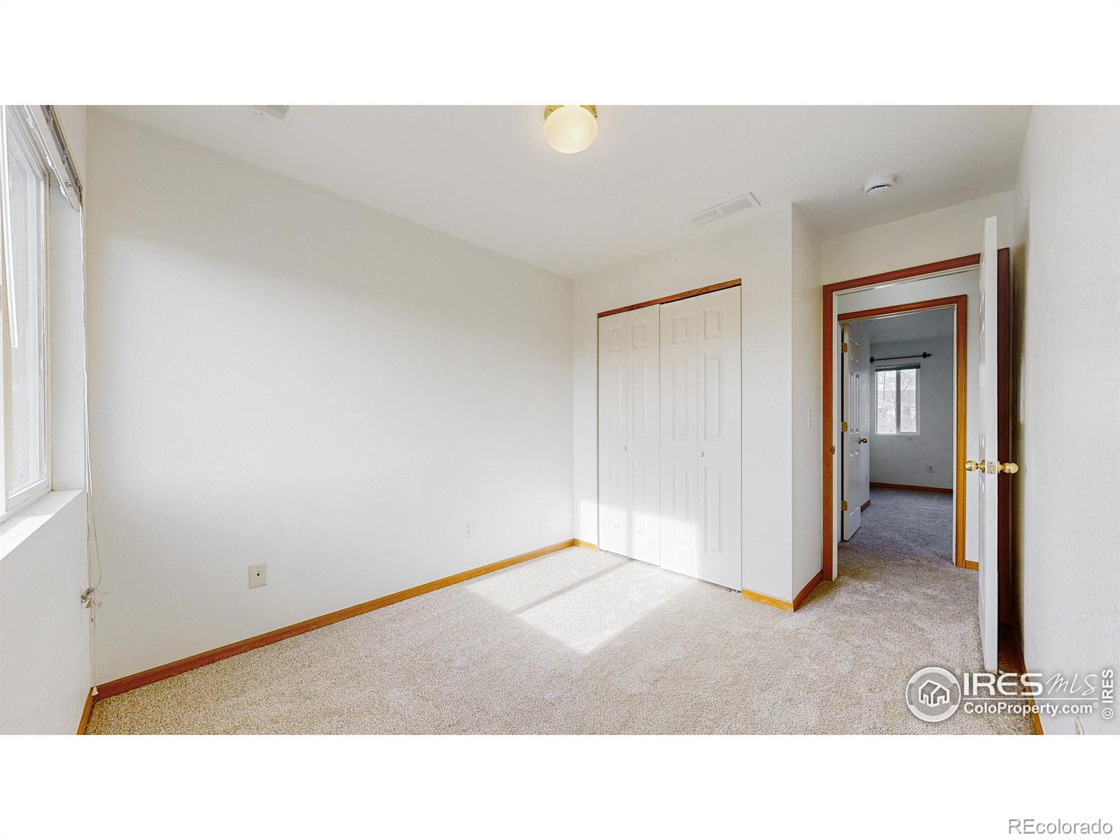 3380 Saratoga Street Wellington CO 80549