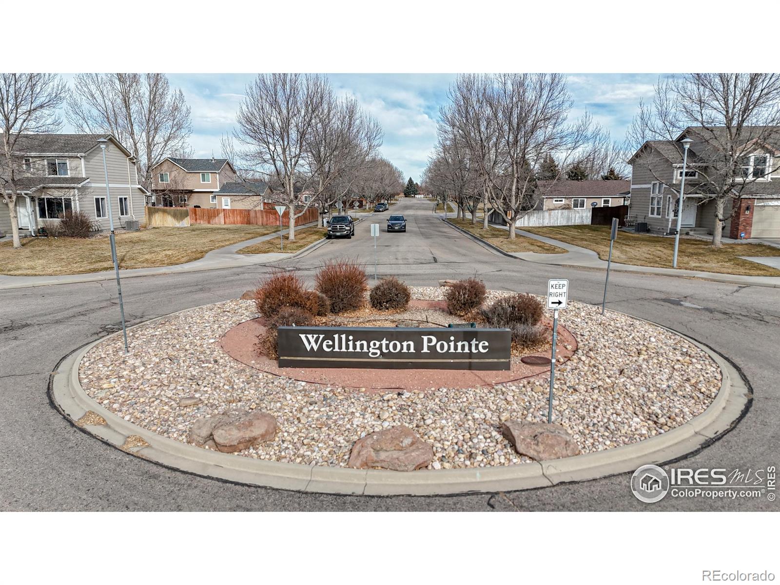3380 Saratoga Street Wellington CO 80549
