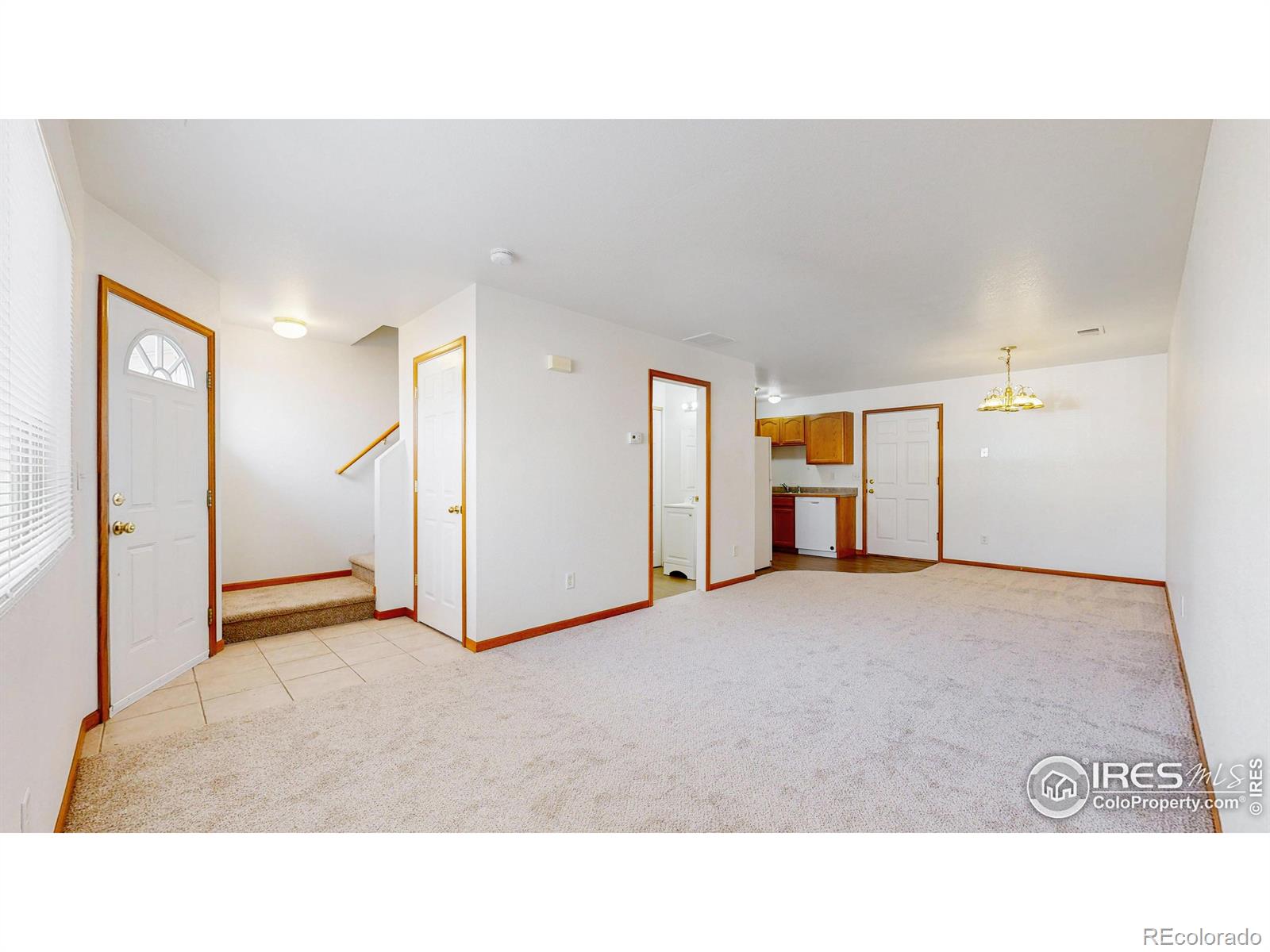 3380 Saratoga Street Wellington CO 80549