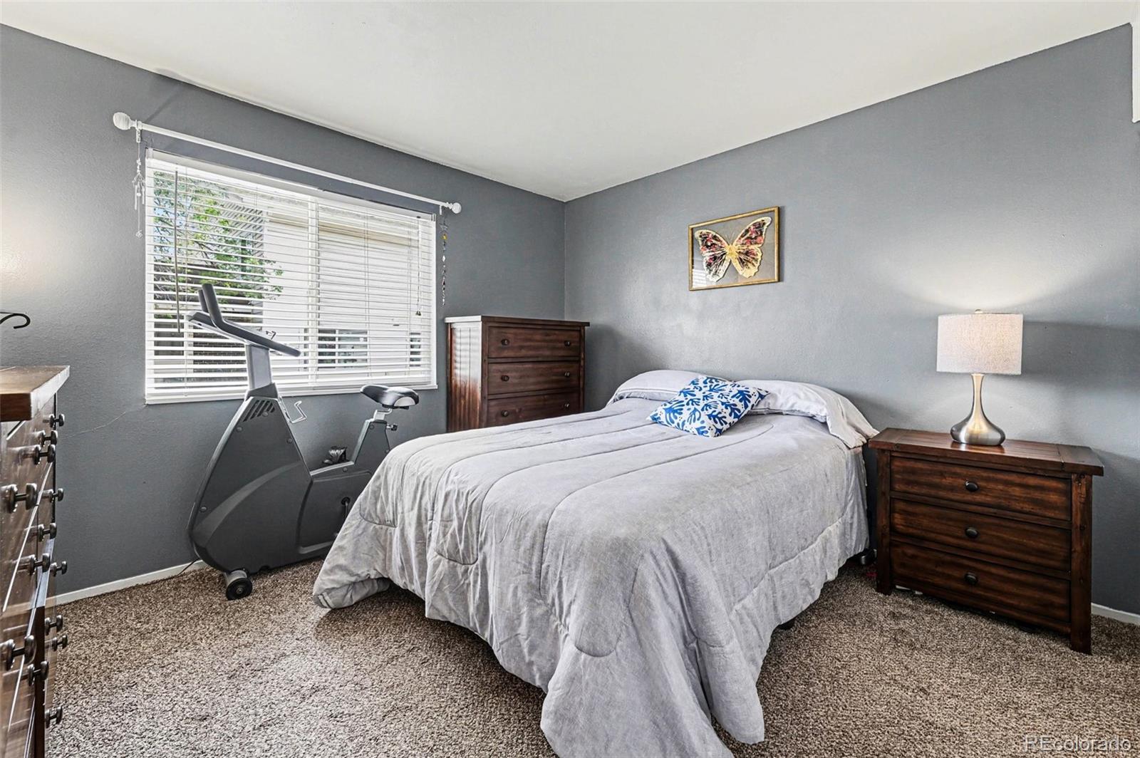 3355 S Flower Street Lakewood CO 80227