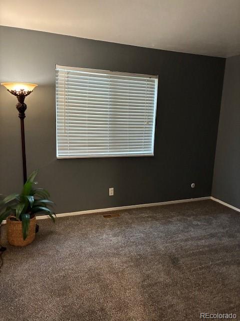 3355 S Flower Street Lakewood CO 80227