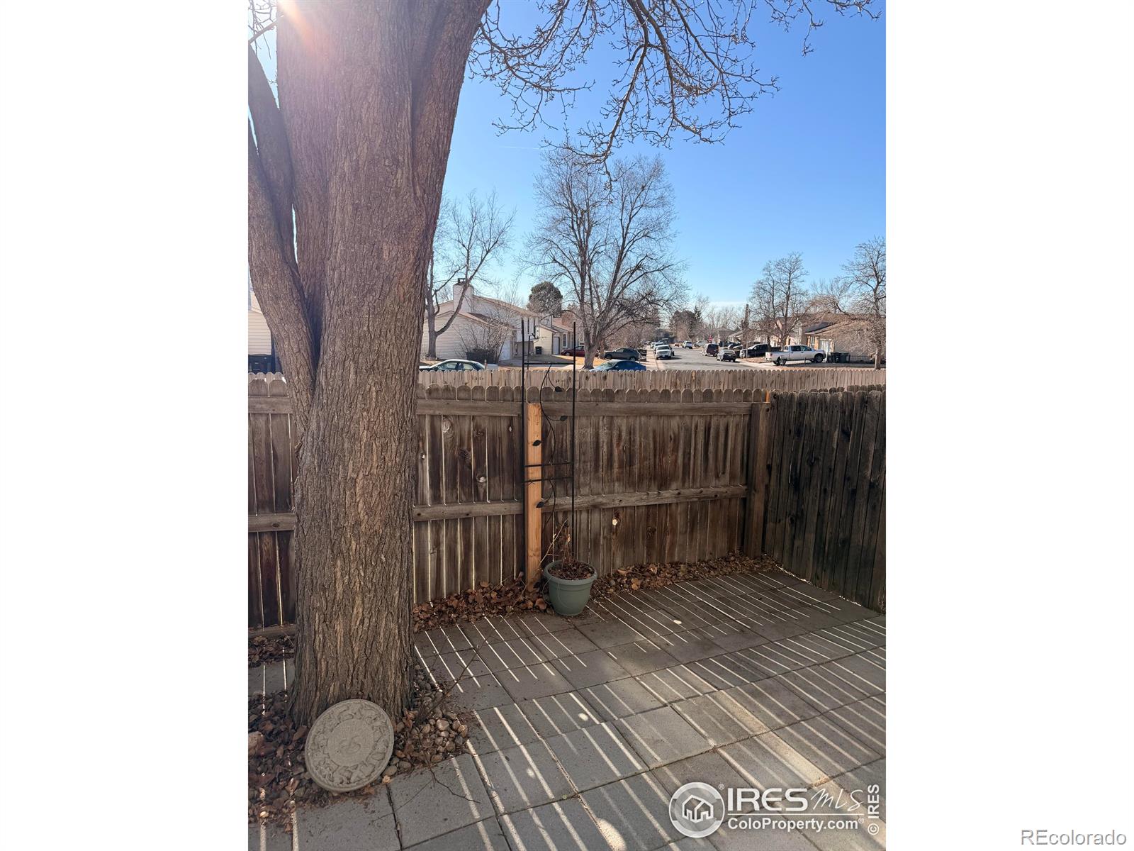 4210 E 94th Avenue Thornton CO 80229