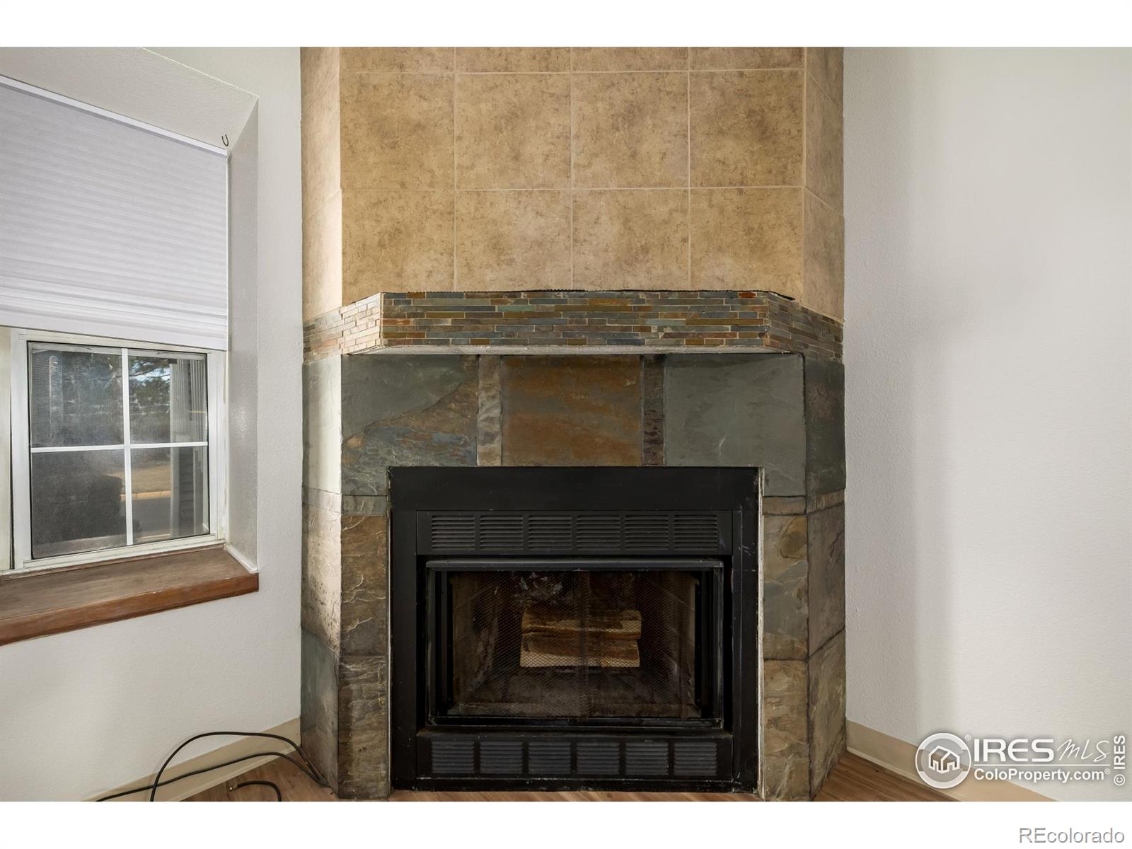 4210 E 94th Avenue Thornton CO 80229