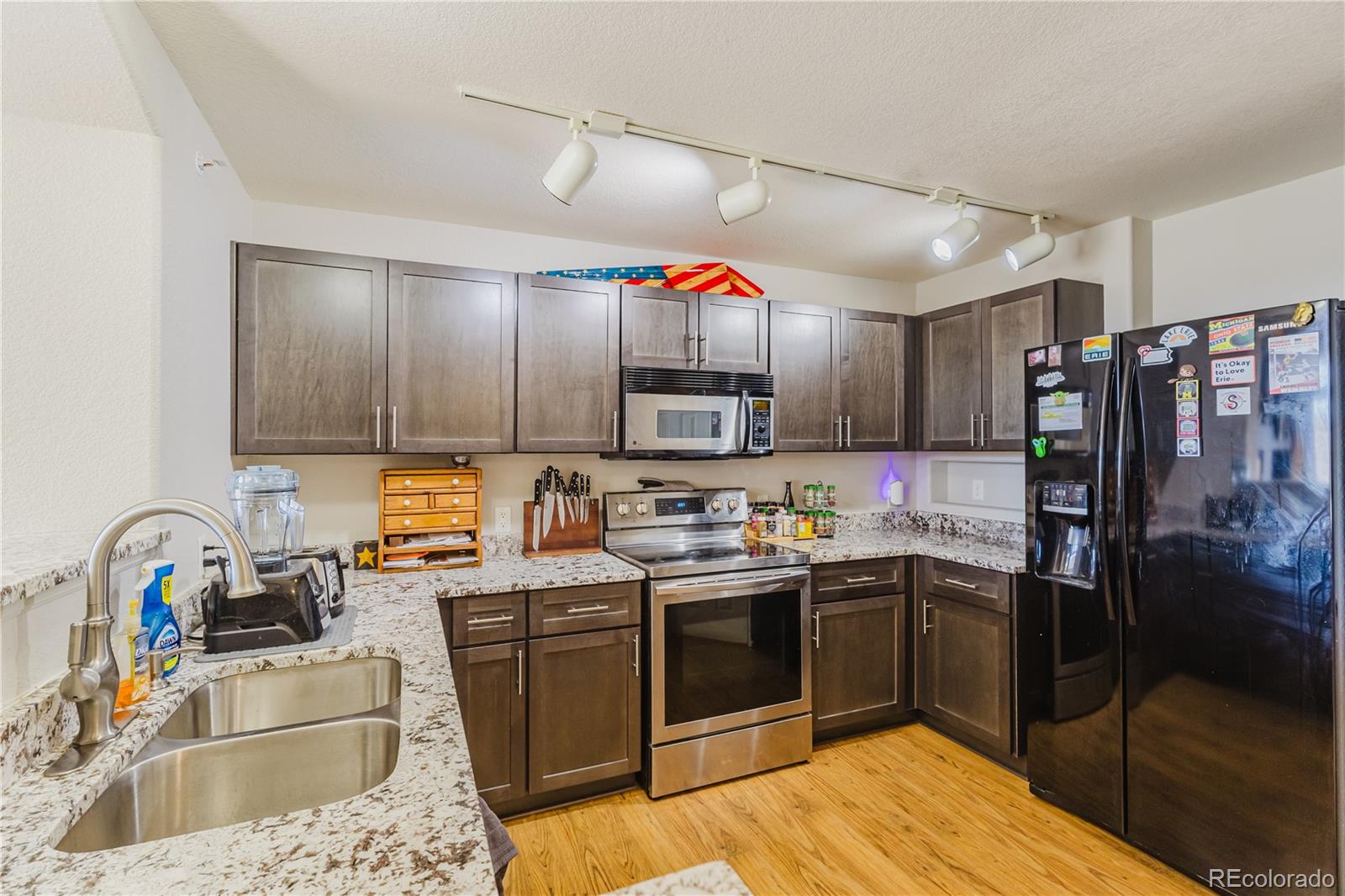 488 Black Feather Loop Castle Rock CO 80104