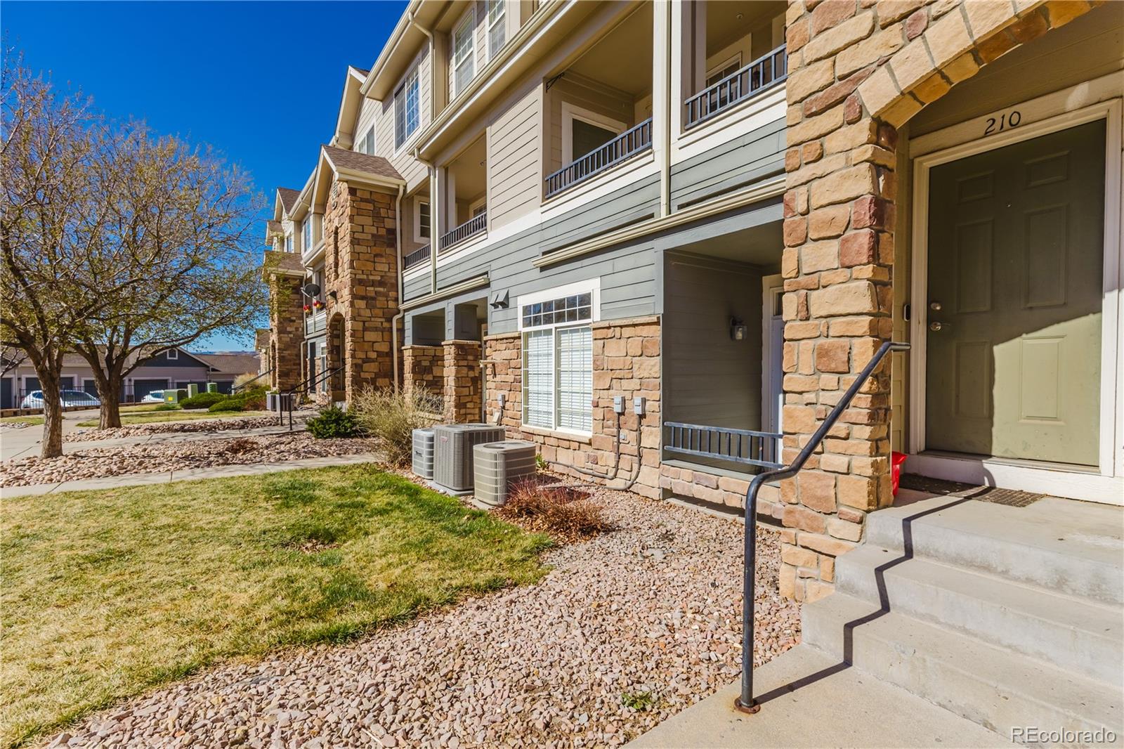 488 Black Feather Loop Castle Rock CO 80104