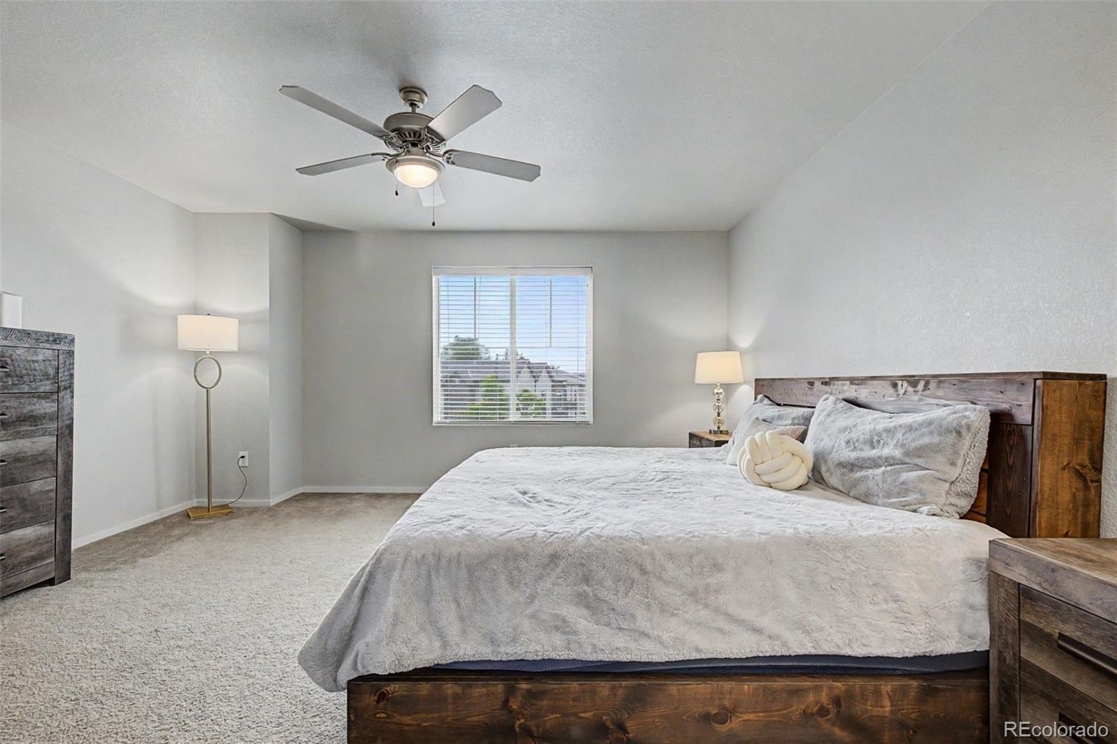 3502 Big Ben Drive Fort Collins CO 80526