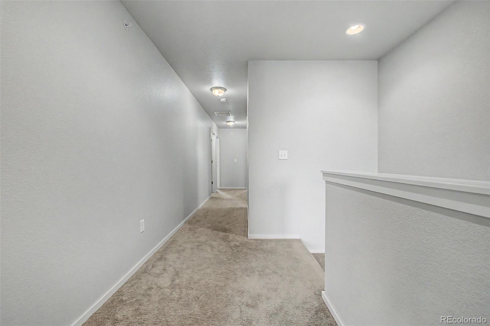 3502 Big Ben Drive Fort Collins CO 80526