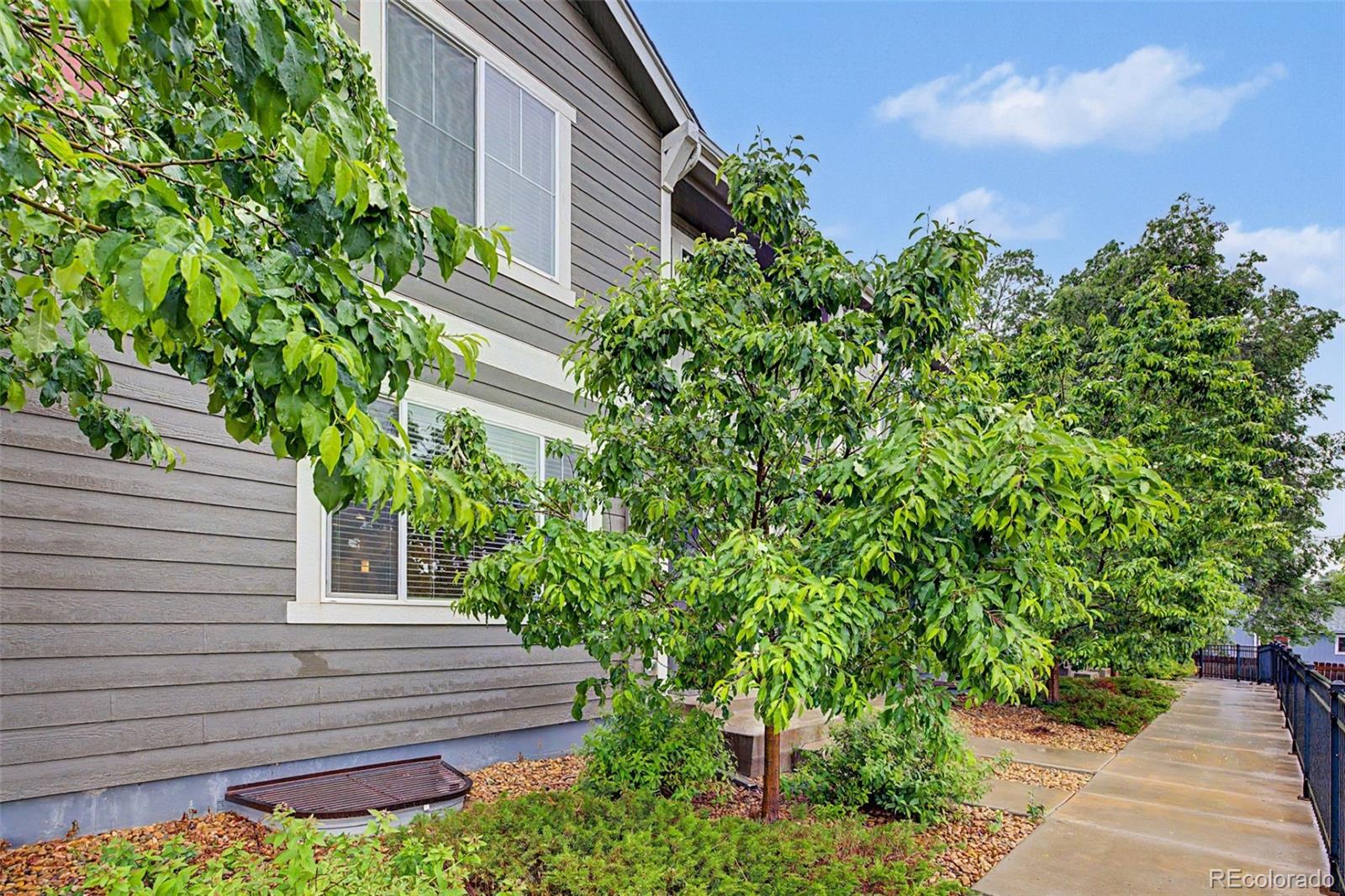 3502 Big Ben Drive Fort Collins CO 80526
