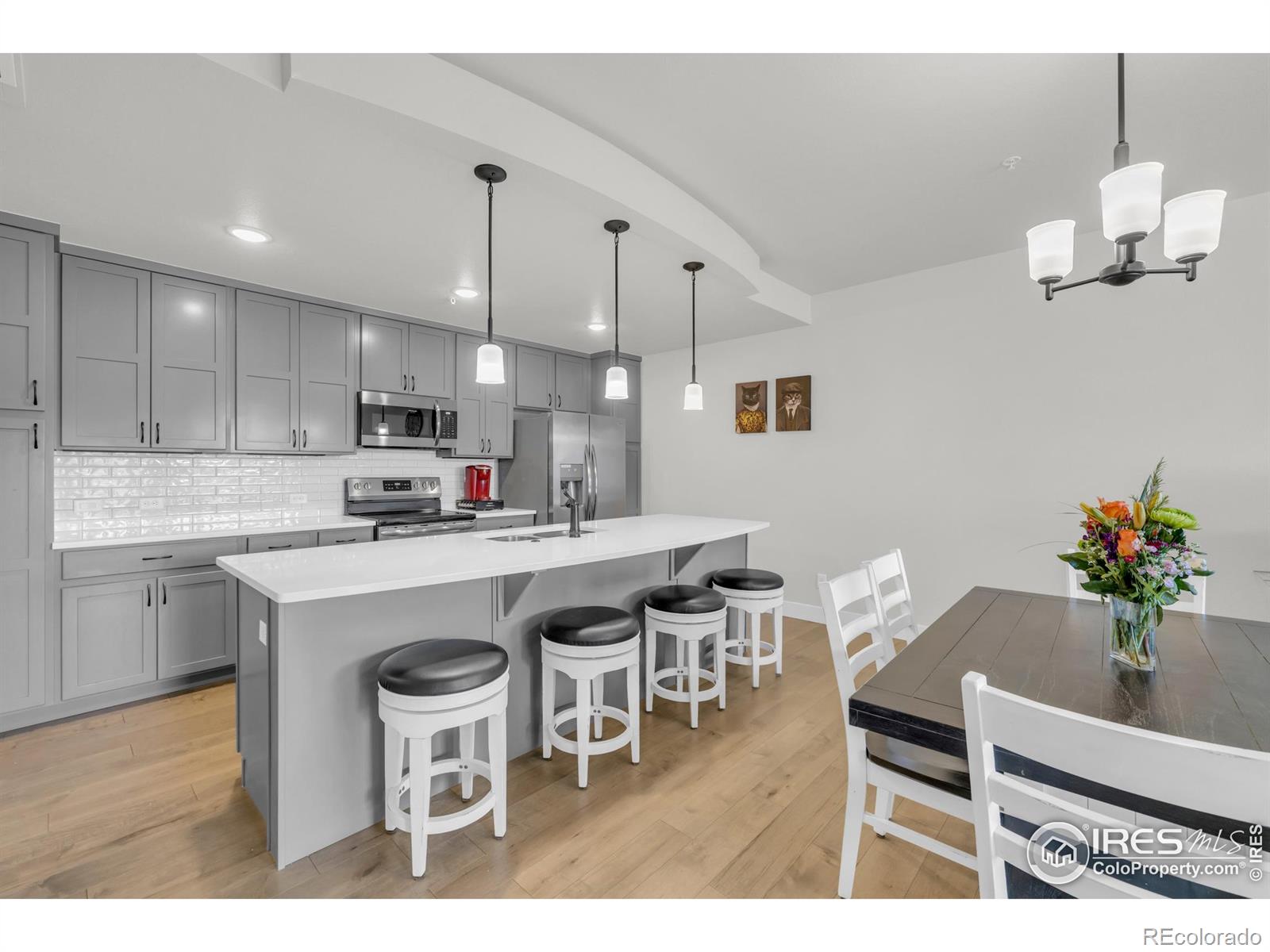 4612 Hahns Peak Drive Loveland CO 80538