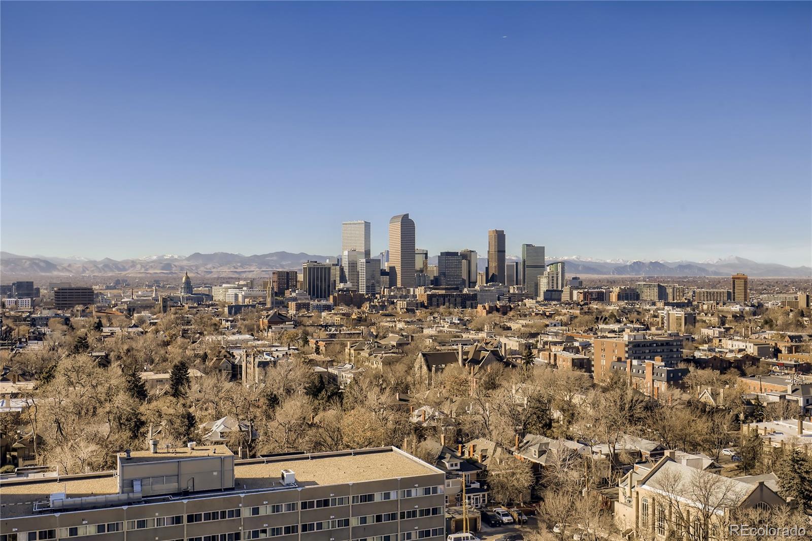 1313 N Williams Street Denver CO 80218