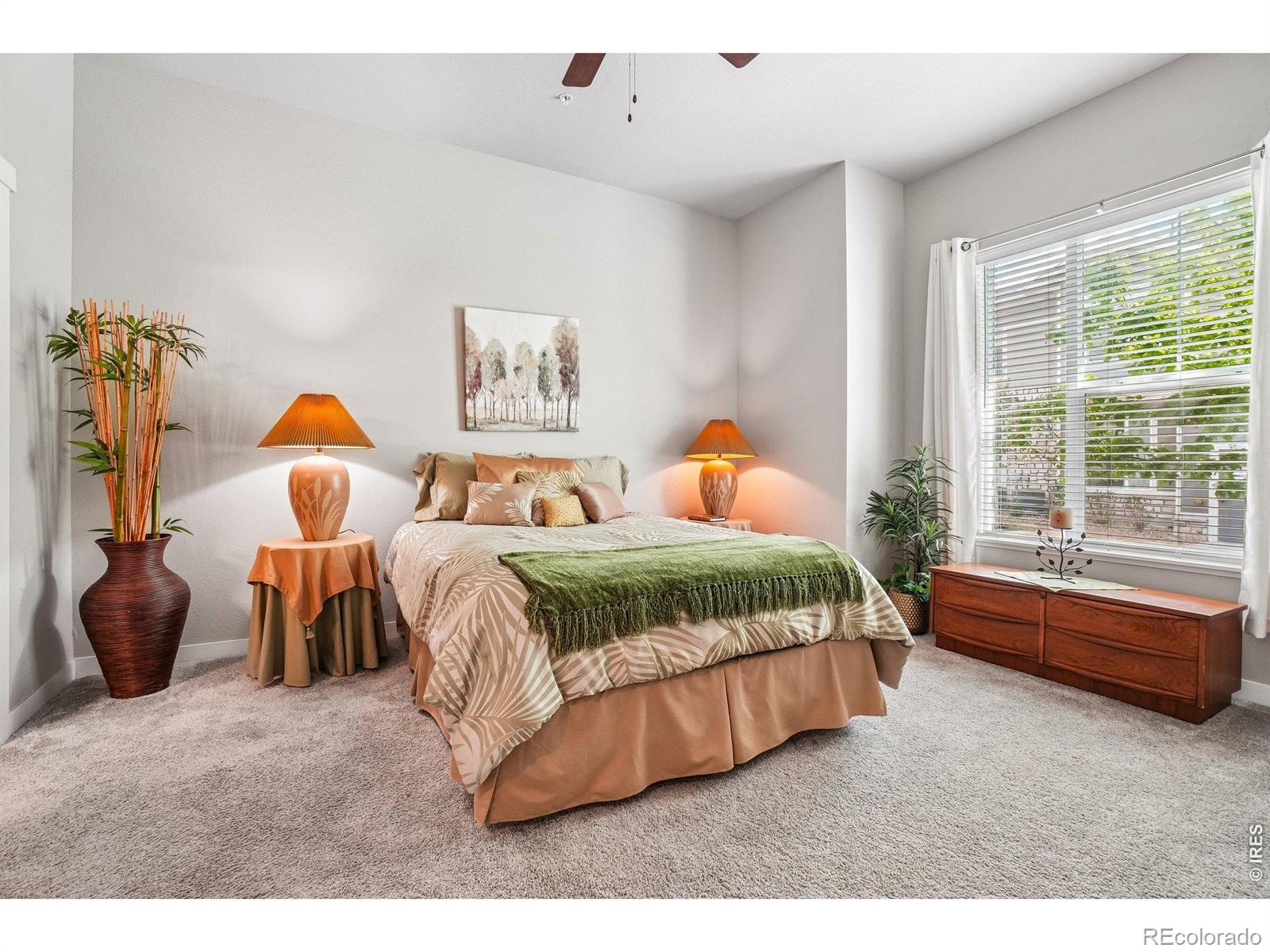 4153 N Park Drive Loveland CO 80538