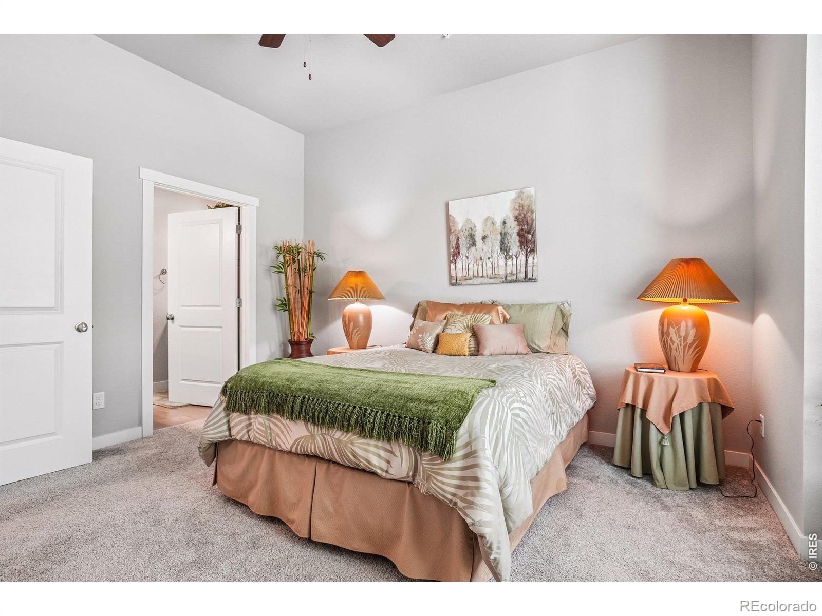 4153 N Park Drive Loveland CO 80538