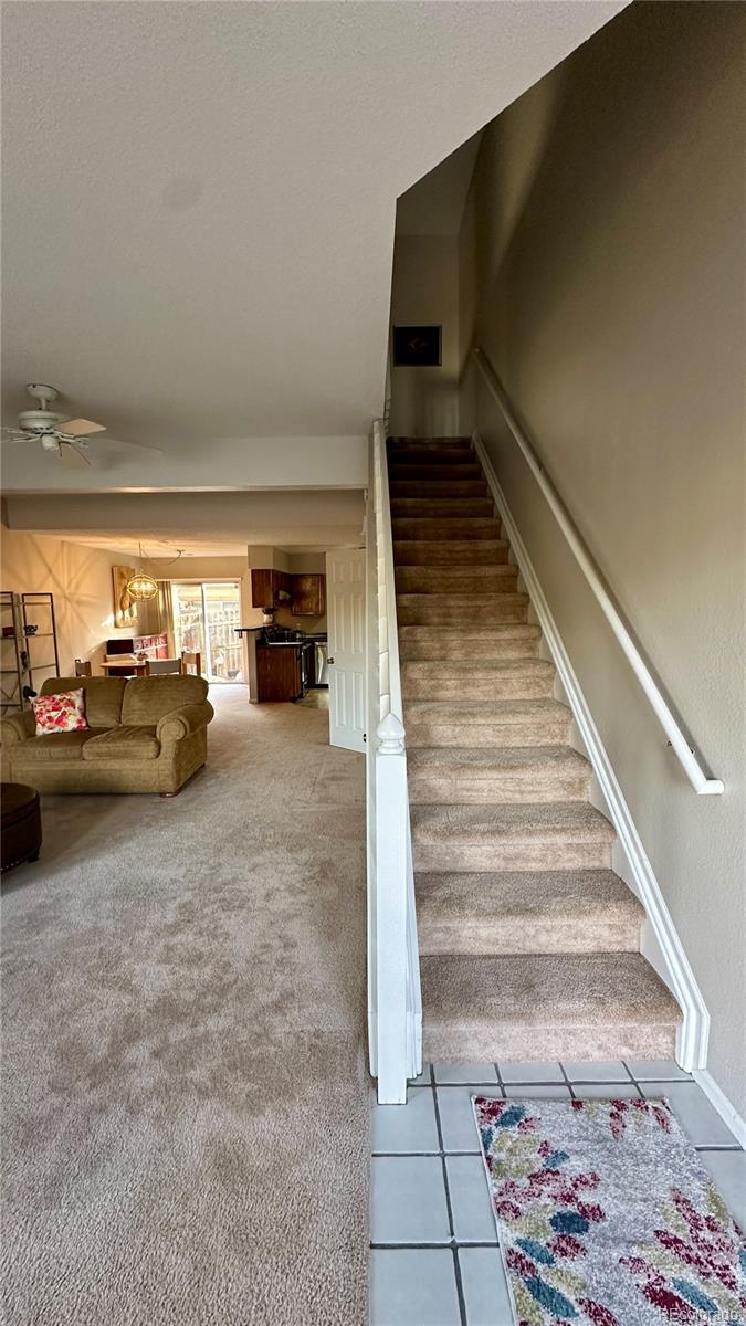 8136 Gray Court Arvada CO 80003