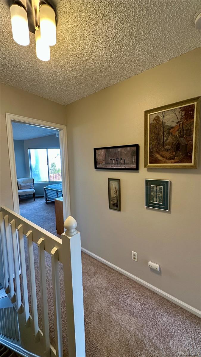 8136 Gray Court Arvada CO 80003